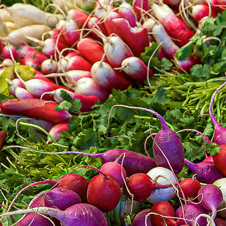 Color and Abundance: A Guide to Spring Farmers Markets